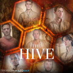 The Hive