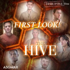 The Hive - First Look